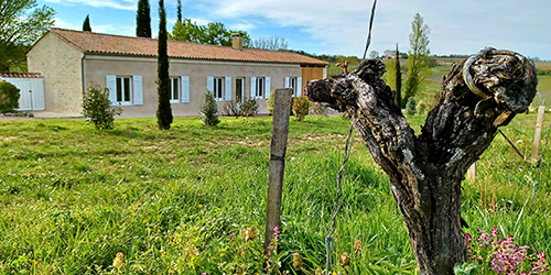 Château viticole Blaye