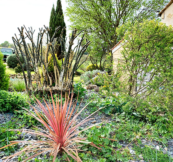 Château viticole Blaye