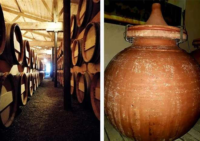 Château viticole Blaye