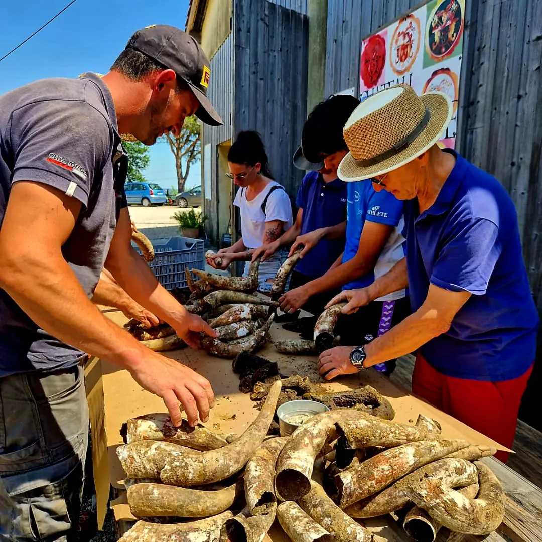 Château viticole Blaye
