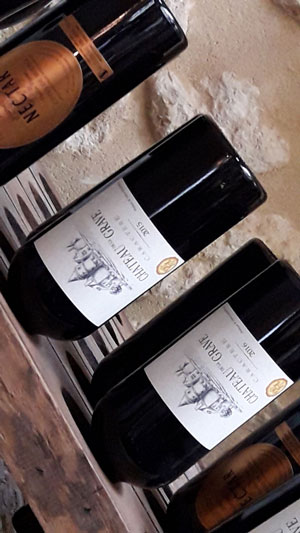 Château viticole Blaye