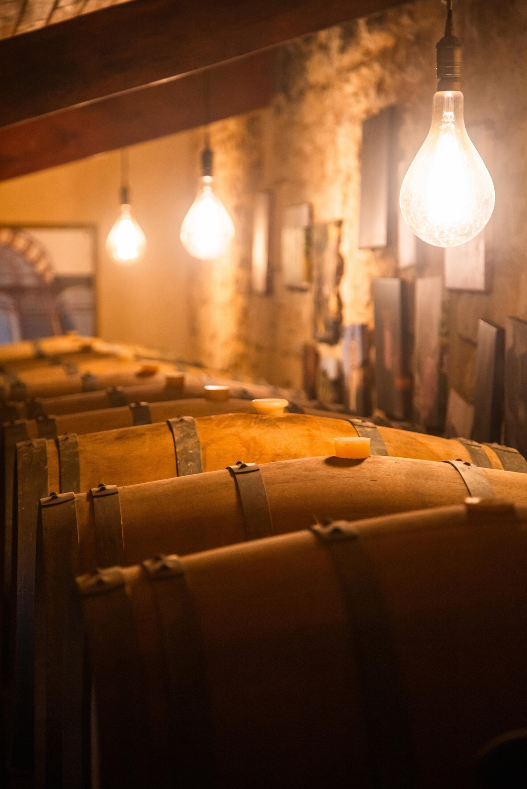 Vin à Bourg-sur-Gironde