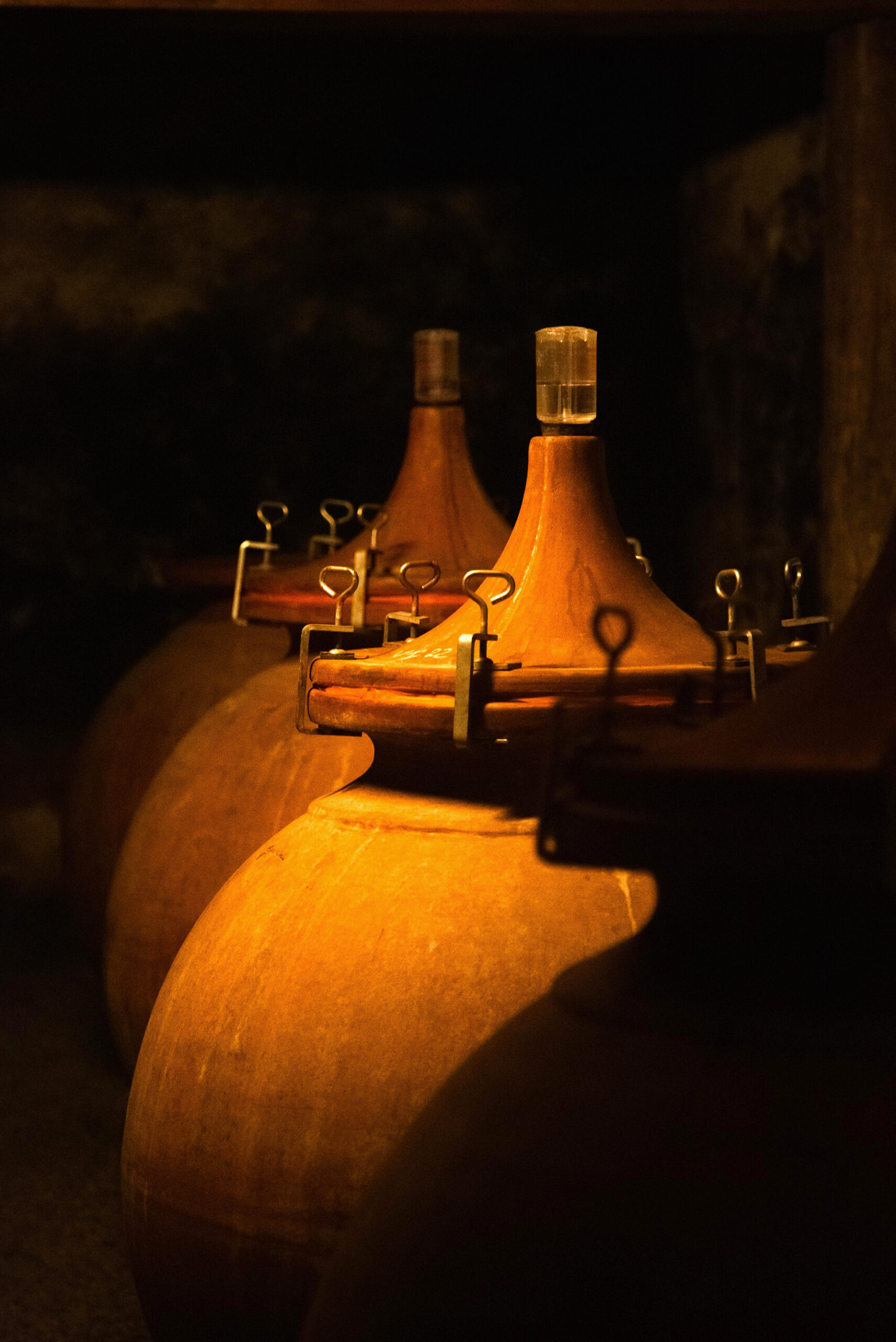 Vin à Bourg-sur-Gironde